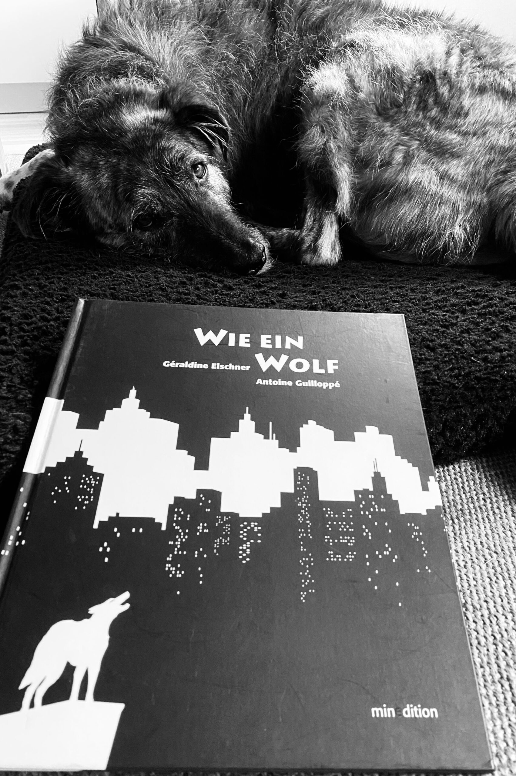 Schwarz weiß Bild mit einem Hund im Hintergrund. Im Vordergrund ist ein Buch: "Wie ein Wolf", das einen Wolf vor einer Skyline zeigt.